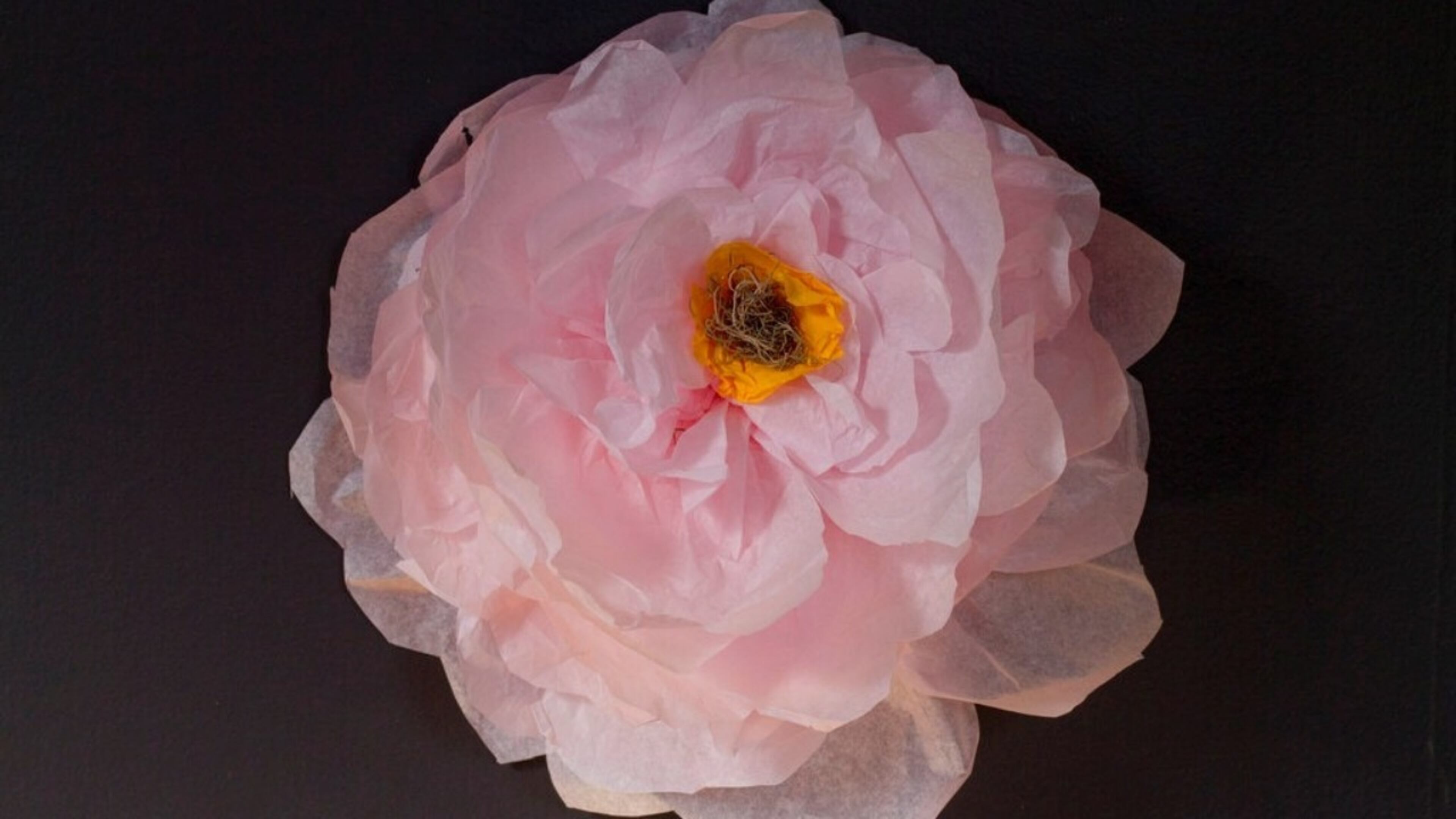 This April 20, 2019 shows a large paper flower fashioned from tissue paper, packing tape and a bit of dried moss in Hopkinton, N.H. Set against a dark painted wall, a pale pink flower really pops, especially when it measures nearly 16 inches across. (AP Photo/Holly Ramer)