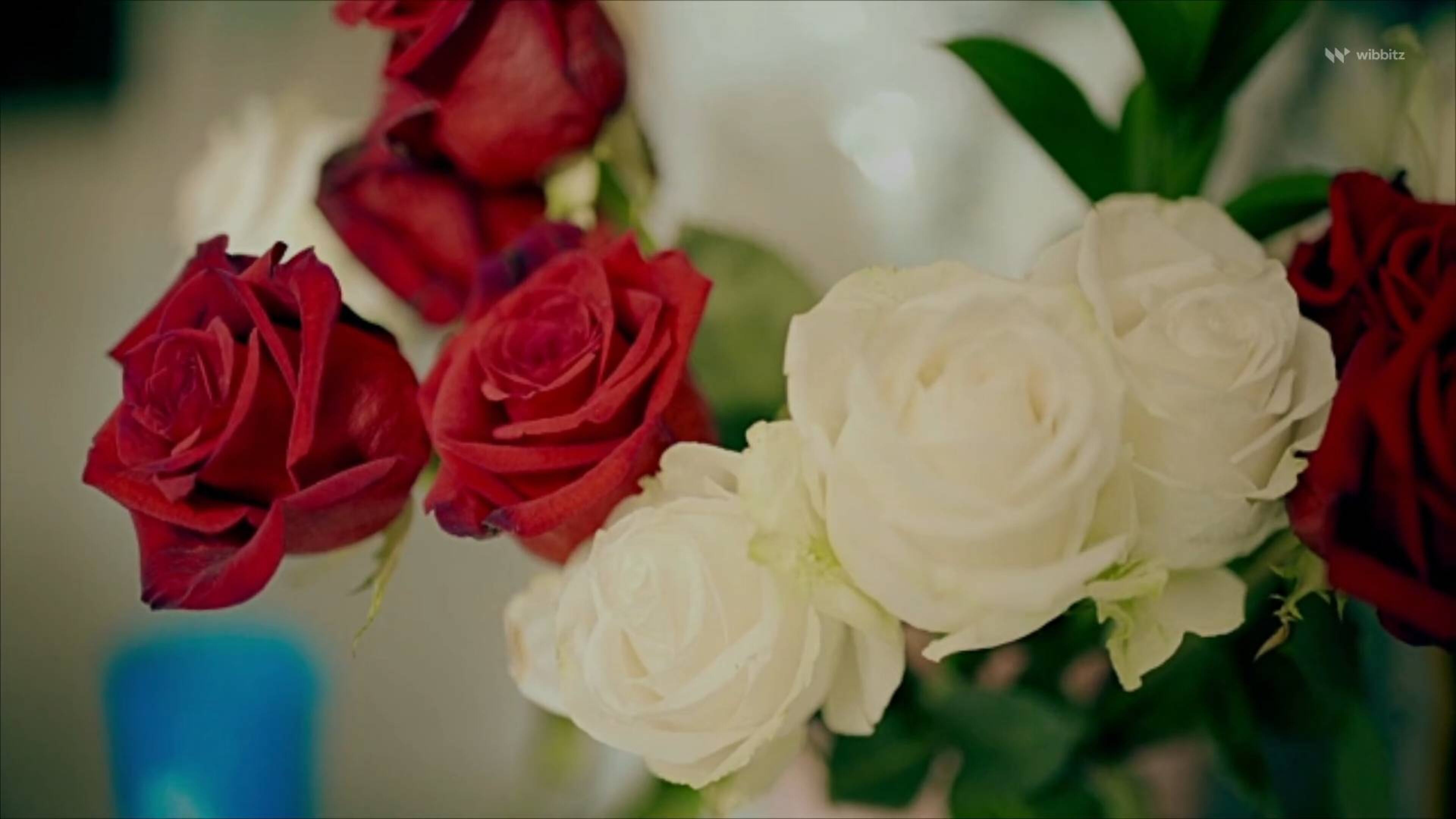 The 10 Most Romantic Flowers